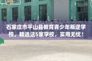 石家庄市平山县教育青少年叛逆学校，精选这5家学校，实用无忧！