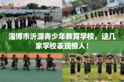 淄博市沂源青少年教育学校，这几家学校表现惊人！