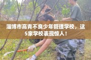 淄博市高青不良少年管理学校，这5家学校表现惊人！