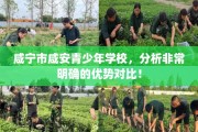 咸宁市咸安青少年学校，分析非常明确的优势对比！