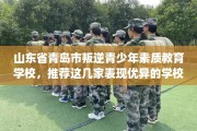 山东省青岛市叛逆青少年素质教育学校，推荐这几家表现优异的学校！
