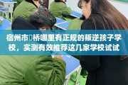 宿州市埇桥哪里有正规的叛逆孩子学校，实测有效推荐这几家学校试试看！