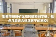 邯郸市峰峰矿区戒网瘾特训学校，盘点几家适合矫正孩子的学校！