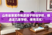 山东省莱芜市叛逆孩子特训学校，精选这几家学校，使用无忧！