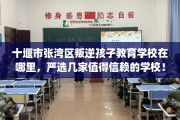 十堰市张湾区叛逆孩子教育学校在哪里，严选几家值得信赖的学校！