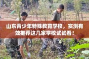 山东青少年特殊教育学校，实测有效推荐这几家学校试试看！