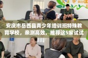 安庆市岳西县青少年培训班特殊教育学校，亲测高效，推荐这5家试试看！