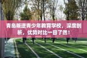 青岛叛逆青少年教育学校，深度剖析，优势对比一目了然！