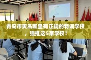 青岛市黄岛哪里有正规的特训学校，强推这5家学校！
