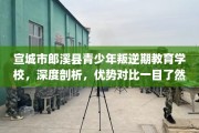 宣城市郎溪县青少年叛逆期教育学校，深度剖析，优势对比一目了然！