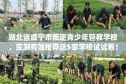 湖北省咸宁市叛逆青少年管教学校，实测有效推荐这5家学校试试看！
