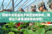 邯郸市成安县孩子叛逆管教学校，推荐这几家表现优异的学校！