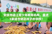 安庆市迎江青少年教育机构，盘点5家适合矫正孩子的学校！