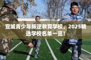 宣城青少年叛逆教育学校，2025精选学校名单一览！