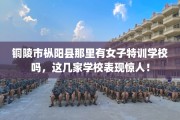 铜陵市枞阳县那里有女子特训学校吗，这几家学校表现惊人！