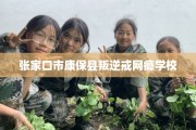 张家口市康保县叛逆戒网瘾学校