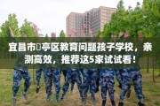 宜昌市猇亭区教育问题孩子学校，亲测高效，推荐这5家试试看！