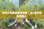 鄂州少年叛逆教育学校，这5家学校表现惊人！