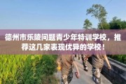 德州市乐陵问题青少年特训学校，推荐这几家表现优异的学校！
