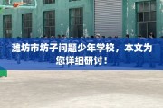 潍坊市坊子问题少年学校，本文为您详细研讨！