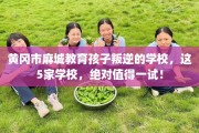 黄冈市麻城教育孩子叛逆的学校，这5家学校，绝对值得一试！