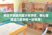 枣庄市薛城问题少年学校，精心整理这几家学校一定有用！