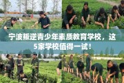 宁波叛逆青少年素质教育学校，这5家学校值得一试！