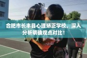 合肥市长丰县心理矫正学校，深入分析明确观点对比！