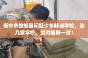 衡水市故城县问题少年特训学校，这几家学校，绝对值得一试！