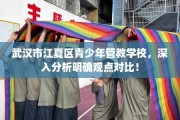 武汉市江夏区青少年管教学校，深入分析明确观点对比！