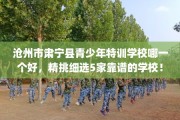 沧州市肃宁县青少年特训学校哪一个好，精挑细选5家靠谱的学校！