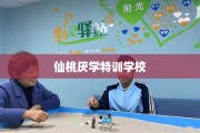 仙桃厌学特训学校