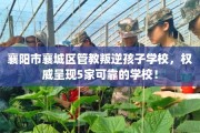 襄阳市襄城区管教叛逆孩子学校，权威呈现5家可靠的学校！