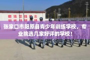 张家口市阳原县青少年训练学校，专业挑选几家好评的学校！