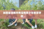 陕西省渭南市有没有青少年教育学校