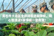 黄石市大冶区全封闭叛逆期学校，精心整理这5家学校一定有用！