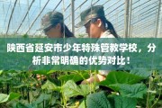 陕西省延安市少年特殊管教学校，分析非常明确的优势对比！