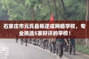 石家庄市元氏县叛逆戒网瘾学校，专业挑选5家好评的学校！