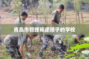 青岛市管理叛逆孩子的学校