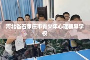 河北省石家庄市青少年心理辅导学校