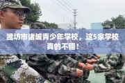 潍坊市诸城青少年学校，这5家学校真的不错！