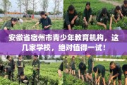 安徽省宿州市青少年教育机构，这几家学校，绝对值得一试！