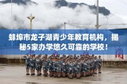 蚌埠市龙子湖青少年教育机构，揭秘5家办学悠久可靠的学校！