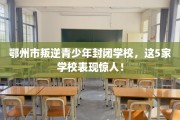 鄂州市叛逆青少年封闭学校，这5家学校表现惊人！