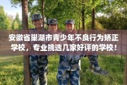 安徽省巢湖市青少年不良行为矫正学校，专业挑选几家好评的学校！