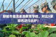 聊城市临清素质教育学校，对比5家排名进行出炉！