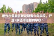 武汉市黄陂区叛逆期青少年学校，严选5家值得信赖的学校！