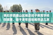 黄石市西塞山区叛逆孩子教育学校在哪里，基于多年经验推荐这几家学校！
