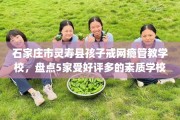 石家庄市灵寿县孩子戒网瘾管教学校，盘点5家受好评多的素质学校