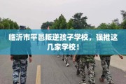 临沂市平邑叛逆孩子学校，强推这几家学校！